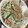 クック9P6O5D☆'s cooksnap of when they made ちくわ.キュウリ.モヤシのゆずマヨ和え.