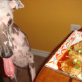 犬のお母さん's cooksnap of when they made 簡単！春雨で豚のつくね風。.