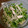 donuts★'s cooksnap of when they made ささみとえのきと豆苗の和え物.
