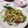 えりりんちゃん♡'s cooksnap of when they made 酒菜【ゴーヤの辛子酢味噌和え】.