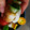 れいこうじ's cooksnap of when they made ちくわくるくる⑩梅きゅうり.