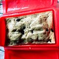 みーたん、ぶみ's cooksnap of when they made レンチン♪簡単バナナ蒸しパン〜.