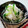 やまとぉちゃん's cooksnap of when they made 大根ときゅうりのさっぱり漬け物風.