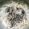 どやどや's cooksnap of when they made もやしのゆかり和え.