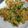 クックEGWVHI☆'s cooksnap of when they made 鯖の水煮缶で作る韮チヂミ☆.