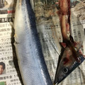 夕凪咲良's cooksnap of when they made 誰でも簡単キレイ☆さんま下処理.