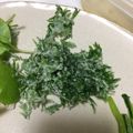 しゅうう's cooksnap of when they made こどもに人気☆にんじん葉のかきあげ.