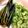クック4HQYJW☆'s cooksnap of when they made 野菜の天ぷら.