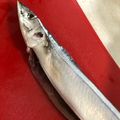 もきち☆'s cooksnap of when they made ハサミで超簡単！秋刀魚の下処理.