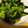 ✳︎まるり✳︎'s cooksnap of when they made 梅との相性ばっちり！小松菜梅あえ.