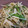 ☆マカロンmama☆'s cooksnap of when they made 大根と水菜の塩昆布和え.