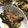 daisy＊6's cooksnap of when they made ナスとピーマンの焼き浸し.