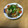 ミッチー食堂's cooksnap of when they made 豚肉と夕顔の炒め煮.