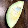 日なぽ's cooksnap of when they made アボカドの岩塩焼き.