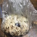 となりのなつママ's cooksnap of when they made オーバーナイトでオレオベーグル.