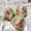 GoGo島みかん's cooksnap of when they made いちじく！とりあえず冷凍保存♪.