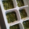 16866♠'s cooksnap of when they made 離乳食中期★豆苗（とうみょう）.