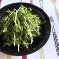 ※ぴーまん's cooksnap of when they made 簡単3分♪豆苗のタイ風しゃきしゃきサラダ.
