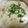 大人アトピーのごはん's cooksnap of when they made ルゥから手作りクリームシチュー.