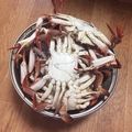さくらん餅's cooksnap of when they made カニのゆで方（香箱がに・ズワイガニ）.