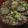 SOIN23's cooksnap of when they made うどんスープで簡単☆なすの枝豆そぼろあん.