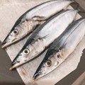 ★うさぎ組★'s cooksnap of when they made ハサミで超簡単！秋刀魚の下処理.