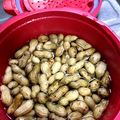 猫のミイヤ's cooksnap of when they made レンジ圧力鍋で茹で落花生（ラッカセイ）.