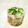 やっぺ841's cooksnap of when they made ＊きゅうりとしらすともずく酢の和え物＊.