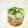 やっぺ841's cooksnap of when they made ＊きゅうりとしらすともずく酢の和え物＊.