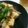 ☆shizu's cooksnap of when they made 厚揚げと舞茸の味噌ダレ炒め.