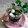 ダヤンCafé's cooksnap of when they made ペロリと食べられる簡単！コーヒー寒天.