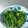 HALYUI's cooksnap of when they made ☆大根の葉っぱのゆず胡椒漬物☆.