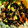 lily92037's cooksnap of when they made 常備菜＊ひじきとえのきのうま煮.