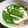 ＴＯＭＯＷＡＴ's cooksnap of when they made 豆腐とニラの中華風スープ.