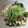 えみんちゅ＊'s cooksnap of when they made ささっと簡単！コク旨☆豚の照りマヨ炒め.
