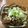 にゃん☆28's cooksnap of when they made 圧力鍋で簡単 ♡トロトロもつ煮♡.