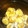 カタクリコ's cooksnap of when they made ニッパーでむく簡単な栗の皮むき方&栗ご飯.