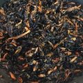 aqua8080's cooksnap of when they made ひじきの煮物。備忘録！.