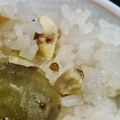 コタヒメ's cooksnap of when they made もち米入り！新米で栗ご飯.
