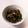 クックL8U9HI☆'s cooksnap of when they made ご飯のお供♪ピーマンとしらすの塩昆布炒め.