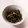 クックL8U9HI☆'s cooksnap of when they made ご飯のお供♪ピーマンとしらすの塩昆布炒め.