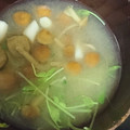 ｽｶｲﾌｨｯｼｭ☆'s cooksnap of when they made きのこと豆苗のお味噌汁.