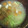 ｽｶｲﾌｨｯｼｭ☆'s cooksnap of when they made きのこと豆苗のお味噌汁.