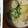 ルルルるか☆'s cooksnap of when they made ブロッコリーとじゃがいもの豆乳スープ.