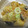 yobibaa's cooksnap of when they made 大根とサバ水煮缶のキムチ煮.