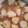 さとみんちゃちゃちゃ's cooksnap of when they made 里芋とえびのあんかけ.