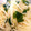 lalala11's cooksnap of when they made もやしとワカメのナムル★覚書.