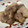 ミミちゃん大好きママ's cooksnap of when they made コトコト煮るだけ✧　簡単しっとり煮豚♪.