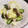 しろだいず's cooksnap of when they made きのこの浅漬け.