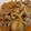 マカロニグリとぐら's cooksnap of when they made 細切れ消費！豚の細切れの生姜焼き.